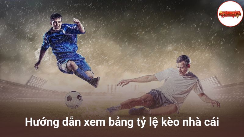 Hướng Dẫn Cách Xem Bảng Tỷ Lệ Kèo Nhà Cái Cho Người Mới